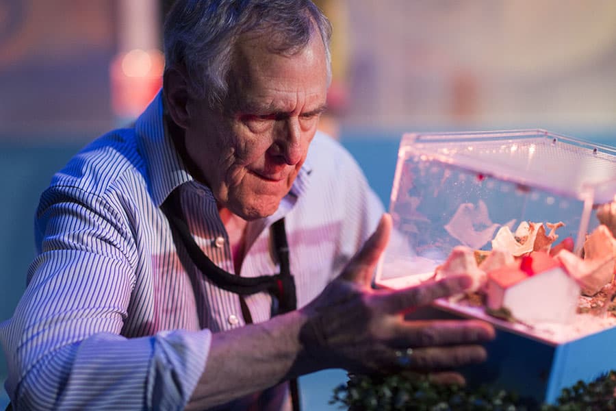 Ian Gelder in Human Animals at the Royal Court (Photo: Helen Maybanks)